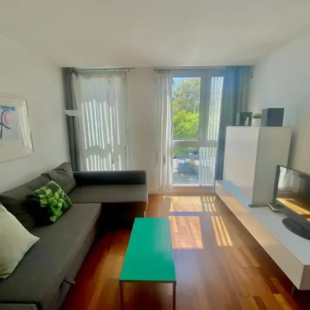 Apartamento For Rent In Calle Del Doctor Aiguader Barcelona