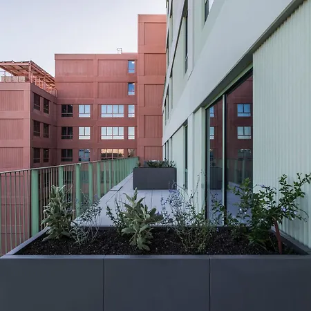 Exclusivamente Para Estudiantes Lujosas Y Estudios Elegantes En Cristobal De Moura Apartamento *