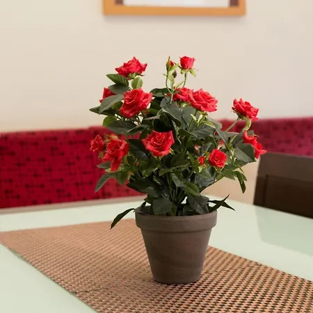 Apartment Fuer 6 Personen Ca 85 Qm In Barcelona-ciutat Vella, Costa Brava Costa Del Maresme Barcelona