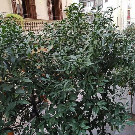 Fuer 3 Personen Ca 40 Qm In Barcelona-gracia, Costa Brava Costa Del Maresme * Barcelona