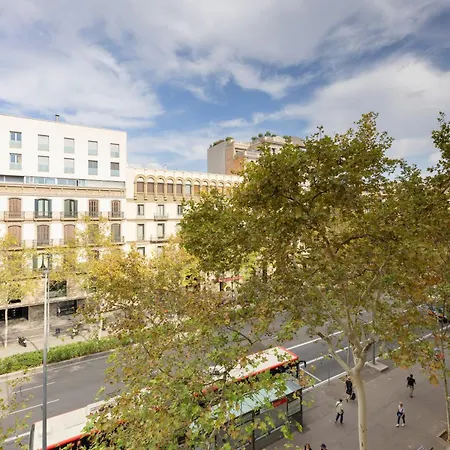 Paseo De Gracia