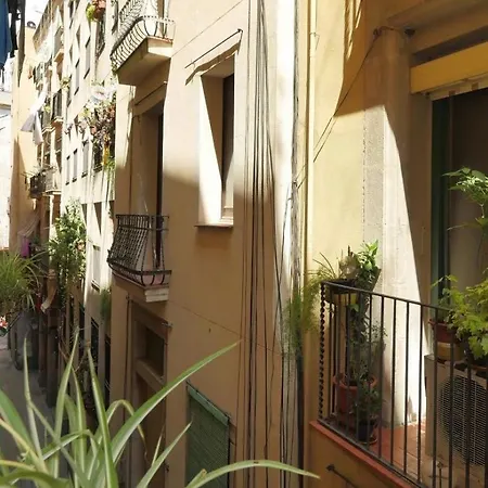Apartment Boutique & Bcn Barcelona