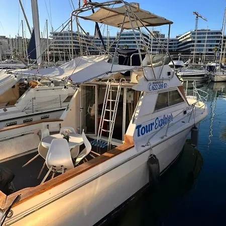 Motorboat In The Harbor *