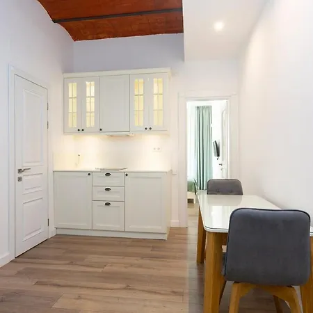 Apartment Moderno Y Espacioso En Calle Mallorca Barcelona