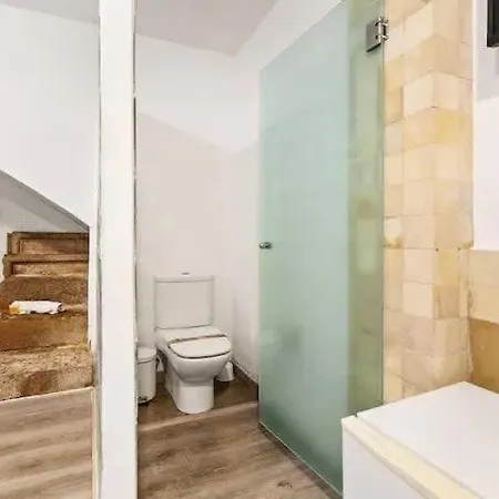 Huge Duplex With Private Garden Next To Ramblas Apartment *