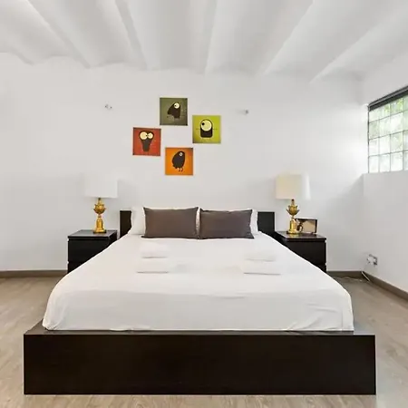 Huge Duplex With Private Garden Next To Ramblas Apartment *