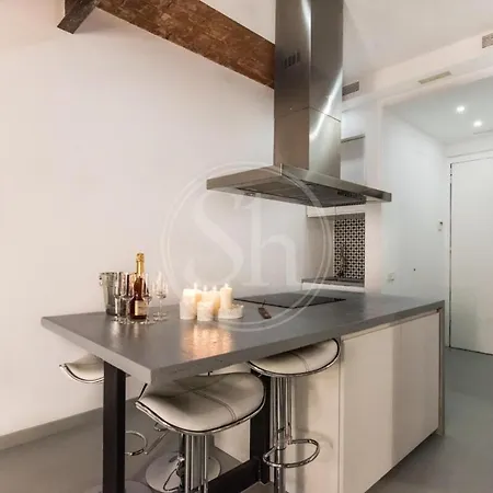 Apartment Acogedor En El Eixample