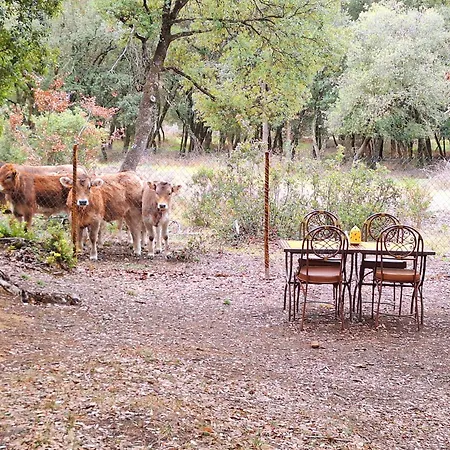 Casa Natura Montseny Chalet Barcelona