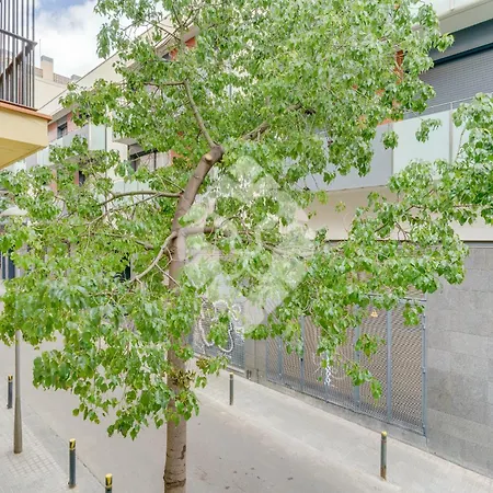 Apartment Piso Ideal Con 3 3 Banos Y Terraza *