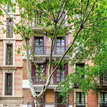 Pl Universitat Comfortable 3Bd With Private Patio Apartment *