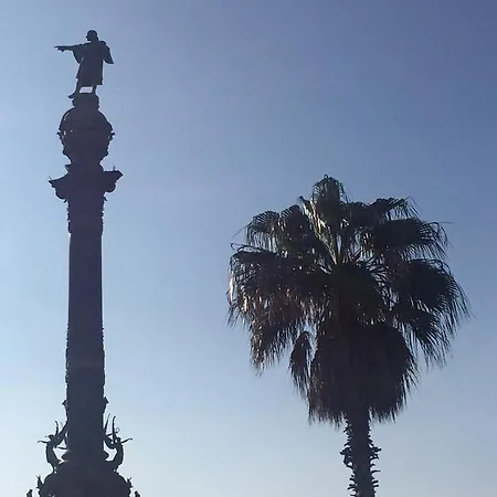 Colon Bcn *