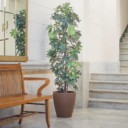 Anakena House B&B 3*