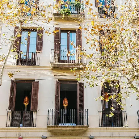 Zoorooms Boutique Pensionat Barcelona