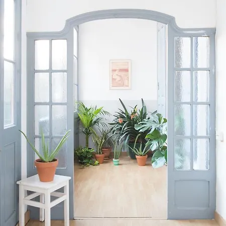 Soul Backpackers Auberge de jeunesse Barcelone