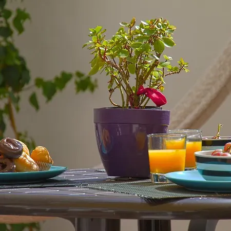 Casa Tortilla Sant Antoni Barcelona