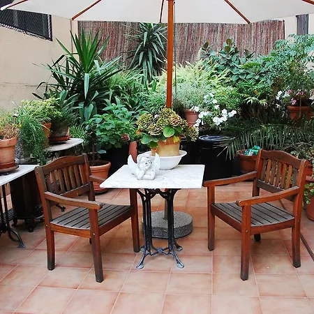 The Patio *