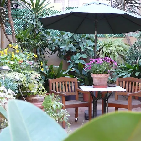The Patio