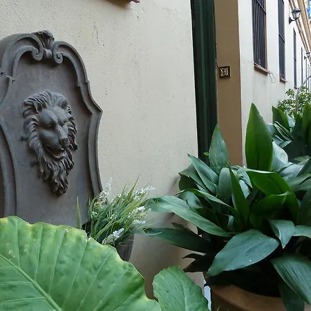 The Patio