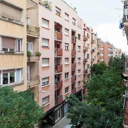 Molino Fresh Barcelone