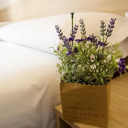 Guest house Travel Barcelona