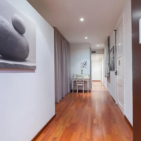 Apartment Lodging Apartments Rambla Catalunya - Miro Barcelona