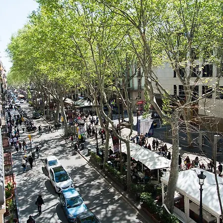 Flor Parks Barcelona
