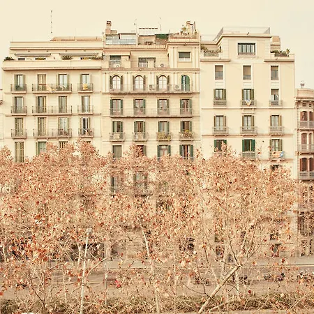 Casa Bonay