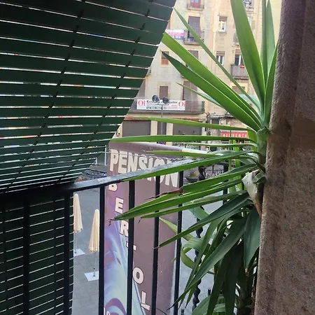 Guest house Bertolin