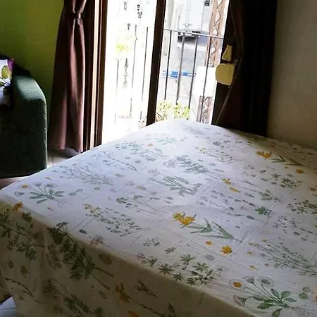 & Cozy Residencia De Estudiantes Pensión