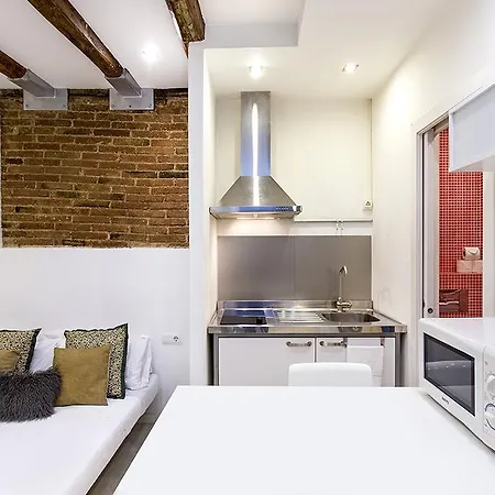 Studio Carrer Del Torrent De L'olla