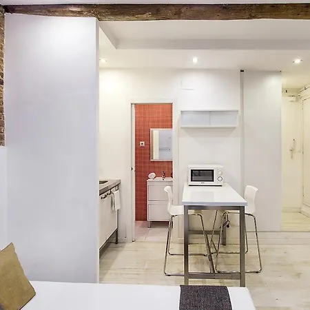 Apartment Studio Carrer Del Torrent De L'olla Barcelona