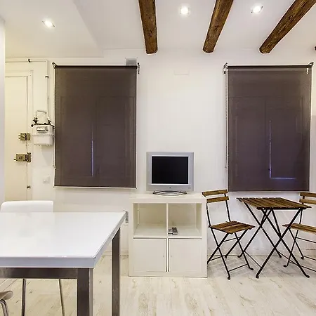 Studio Carrer Del Torrent De L'olla Apartment Barcelona