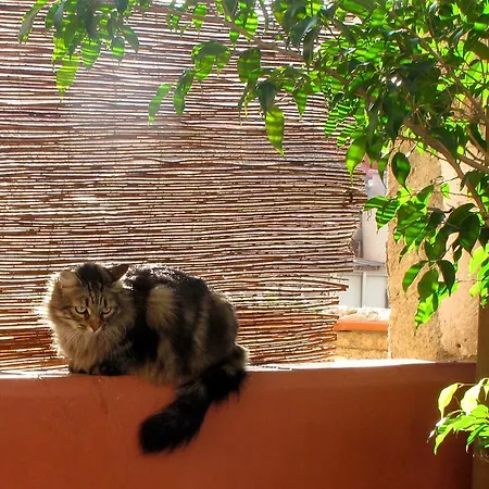 Poblenou Bed & Breakfast