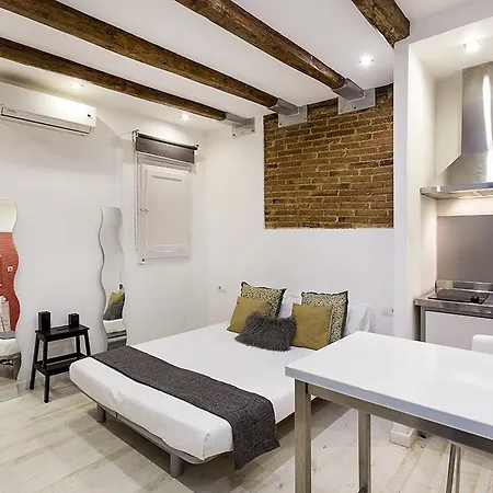 Studio Carrer Del Torrent De L'olla Apartment Barcelona