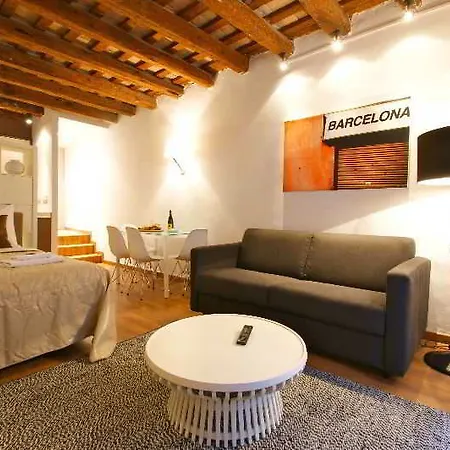 Borne Down Town Appartement *