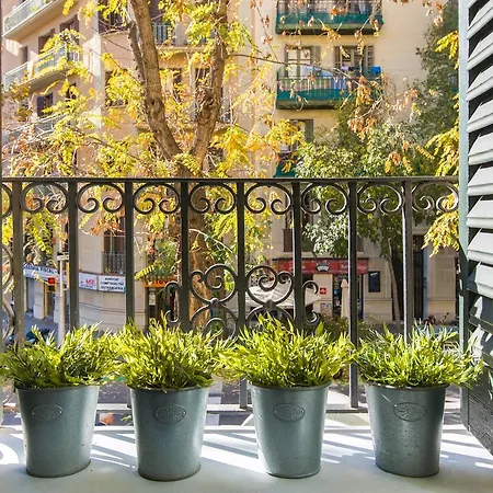 54 * Barcellona