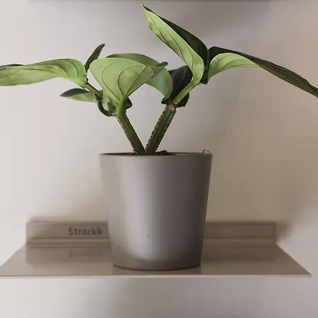 Destinationbcn - Universitat Hotel Barcelona