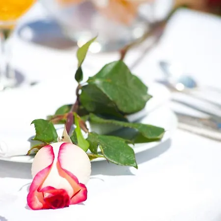 Bed & Breakfast Bachome Terrace Barcellona