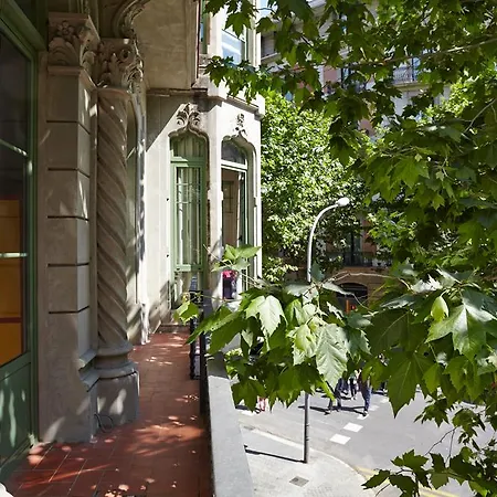Black Swan Hostel *