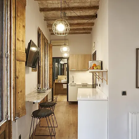 Ainb Gothic-jaume I Apartament Barcelona