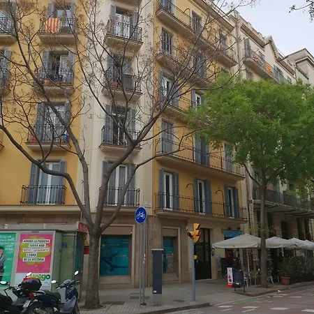 Cozy Flat With Unbeatable Views To Sagrada Familia *