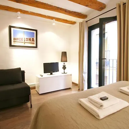 Appartement Borne Down Town *