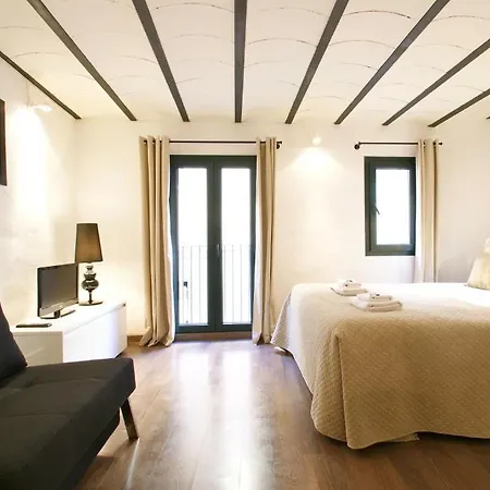 Borne Down Town Appartement *