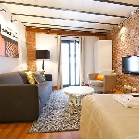 Borne Down Town Appartement *