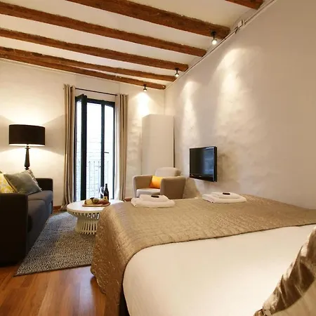 Appartement Borne Down Town