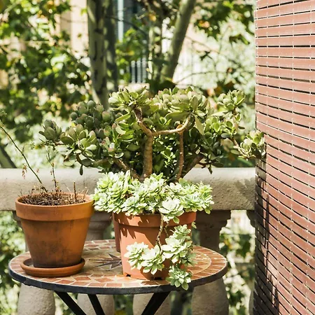Frühstückspension La Casa Gran 3*