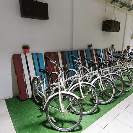 Bed & Bike