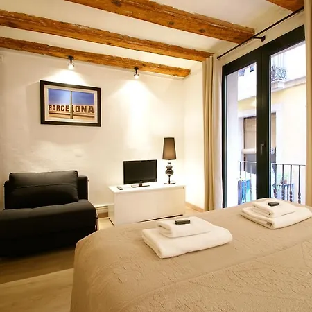 Borne Down Town Appartement *