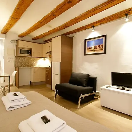 Appartement Borne Down Town *