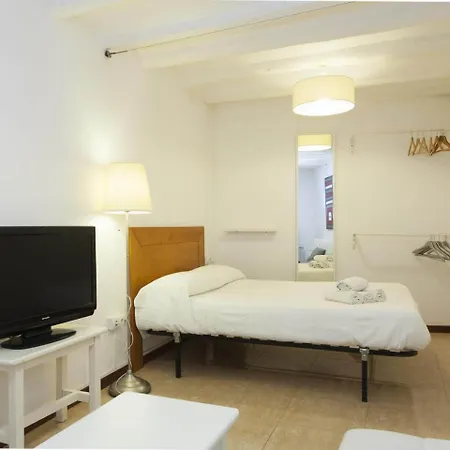 Studio Mozart Center Apartment *